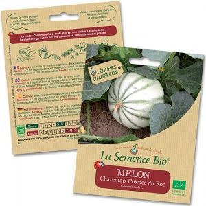La Semence Bio Graines Melon Charentais précoce du Roc