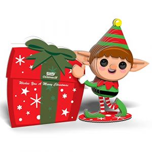 EUGY 3D MODEL: KERST / KERST ELF