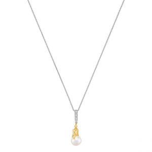 Charles Jourdan Collier Femme Luna - AJF170177N Argent