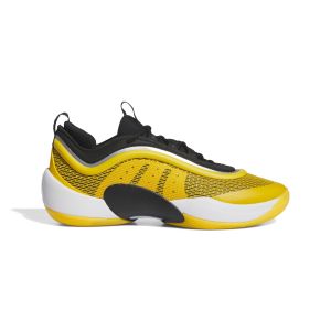 Adidas Chaussures indoor D.O.N. Issue 6