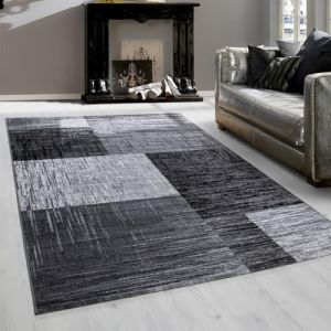 Teppium Tapis de Salon &agrave; Motif Carreaux Chin&eacute; Noir Tapis 140x200 cm - Poil Court Moelleux et Tendance