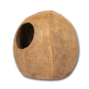 Reptiles Planet Accessoire de terrarium Coco Cave