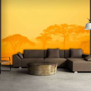 Artgeist Papier peint - Orange savanna 250x193