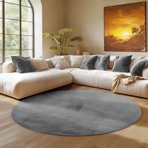SIMPEX Tapis Rond Gris 200 cm Tapis &agrave; Poils Courts Lavable, Rond, Doucement Antid&eacute;rapant et Design Monochrome Moderne pour Salon, Chambre, Cuisine et Chambre d'enfant (Simpex24 UG, neuf)