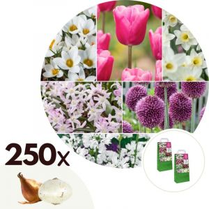 Bulb Garden Pink - 250x Bulb Mix - Narcissus, Allium, Crocus, Tulip