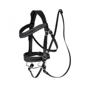 Lemieux Bridons de concours d'équitation pour chevaux de loisir Hobby Horse