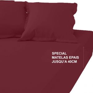 Drap-housse grand bonnet XL Coton Tertio - Grenat