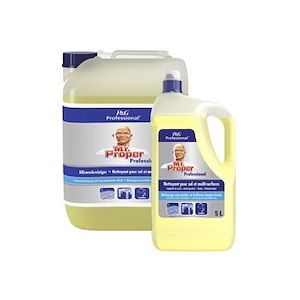 Mr. Propre Mr Proper Professional nettoyant multi-usages, 10 l, 196841