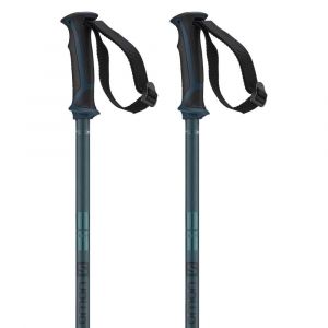 Image de Salomon Bâtons de ski Arctic - Blue - Taille 130 cm