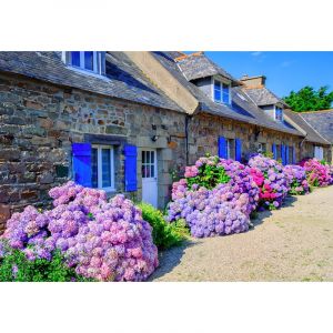 Puzzle de 1000 pièces Alipson Puzzle Maison Tradi Bretagne
