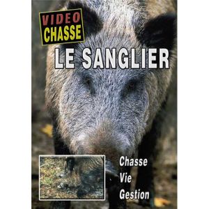 Image de Vidéo Chasse : Le Sanglier, Chasse, vie et gestion