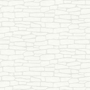 A.S. Creation Papier peint 355515 Meistervlies 2020 | Papier peint Blanc &Uuml;berstreichbar en ligne