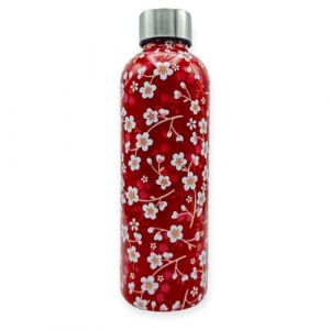 Tognana Japan Collection Bouteille d'eau 500cc Acier Inoxydable Rouge
