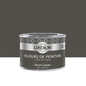 Liberon Testeur peinture brun caviar velours Velours de peinture L 5 ml