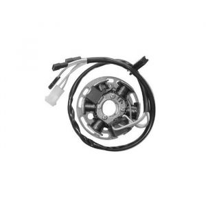 SGR by Schecter Allumage stator moto 6 pôles Derbi Senda 50