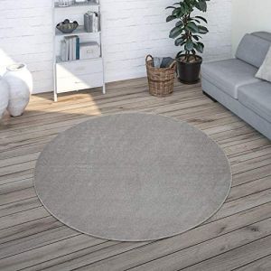 Paco Home - Tapis Salon Uni Sobre Et Moderne Poils Ras, Diff. Tailles/Coloris Argent, 200 cm rond