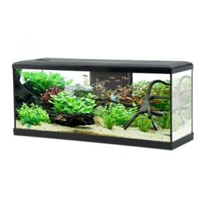 Zolux Kit aquarium tana 100 noir