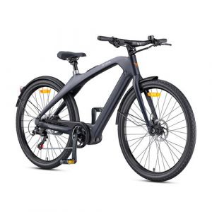 Vélo électrique ENGWE MAPFOUR N1 Pro - Autonomie 100km - Moteur 250W - Batterie 36V 10Ah - Cadre en fibre de carbone,Gris