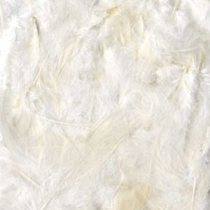 Artémio Plumes colorées 10 g Blanc