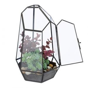 Relaxdays Terrarium pour Vos Plantes, décoratif et Pratique, pour Le Rebord de la fenêtre, 26 x 18 x 15 cm, Noir
