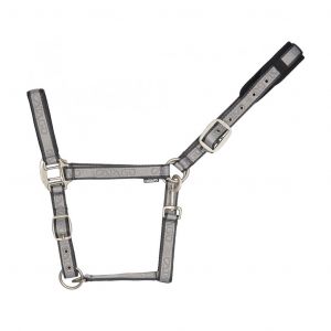 Licol pour cheval Catago