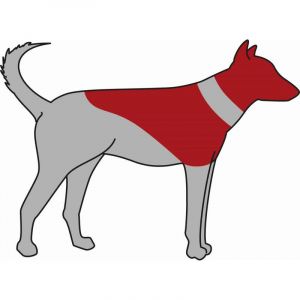 Trixie Collier de protection gonflable bleu pour chien Taille XS