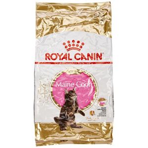 Royal canin fit chat