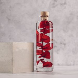 Th&eacute;ophile Berthon Plante immerg&eacute;e Eucalyptus rouge H21