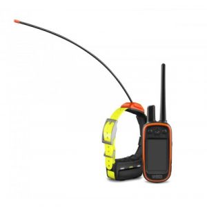 Garmin Alpha 100 + Collier T5