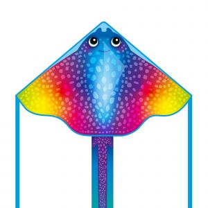 HQ Kites Cerf-volant Delta Eco