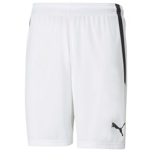 Image de Puma Teamliga Short Unisexe Adulte