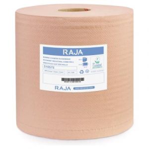 MONDOFFICE Essuie-tout papier recyclé double épaisseur - Bobine chamois 800 feuilles 26 x 30 cm - 510575 - Lot de 2 rouleaux de 240 m