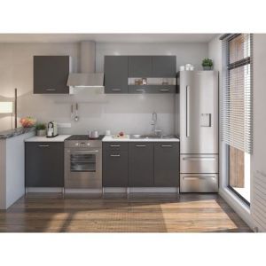 Image de EXTRA Cuisine Complète avec plan de traval L 240 cm Gris mat