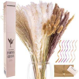 Homewize Tufts d'herbe de la pampa - Lot de 90 pièces avec 4 types de fleurs sèches naturelles - Fleurs séchées avec des tiges de 65cm de long pour vase de sol - Créez votre fantastique bouquet sec.