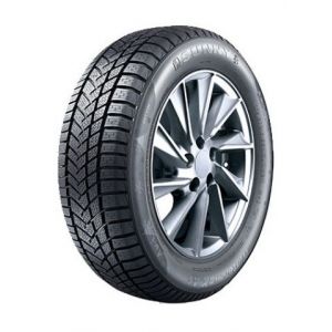 Sunny PNEU WINTERMAX NW211 215/65R16 98H TL