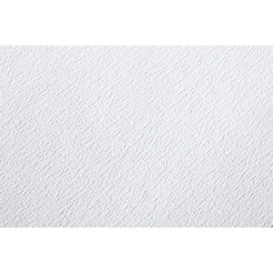 Clairefontaine 96387C- Un paquet de 25 feuilles de papier dessin Etival grain classic 50x65 cm 200g, Blanc