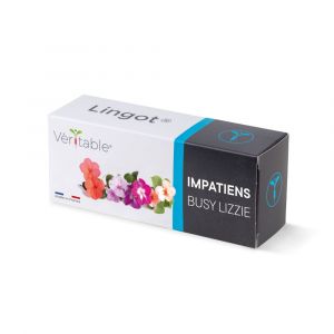 Veritable Lingot Impatiens - Recharge prête à l'emploi