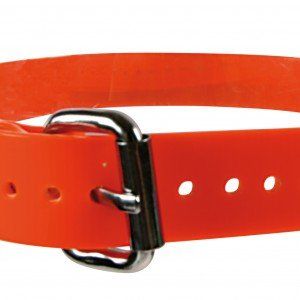 Image de Zolux Collier PVC fluo pour chien