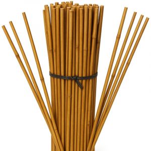 Tuteur en Bambou 150 cm, 12-14 mm (Pack 200). Baguettes de bambou, canne de bambou écologique pour soutenir les arbres