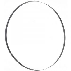 Holzmann Lame de scie à ruban 1575x6x0,36mm 14 ZpZ Maschinen BSB230B6 BSB230B6 1 pc(s) - ACCESSOIRE MACHINE OUTIL - CONSOMMABLE