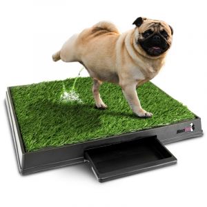 Maxxpet - Gazon artificiel pour toilettes pour chiens - Tapis d'apprentissage de la propret&eacute; - Chien d'apprentissage de la propret&eacute; - 64x52 cm