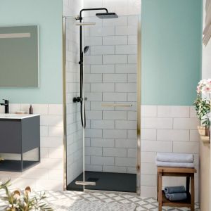 Swiss Aqua Technologies TGD NEW Porte de douche 90x200cm pivotante anticalcaire avec profil&eacute; chrome brillant (SATTGDN90NIKA)