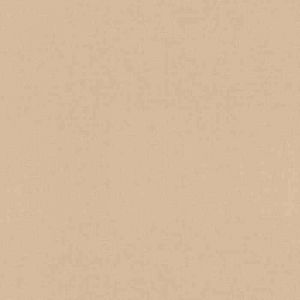 Rasch Papier peint vinyle grainé sur intissé uni botanique beige marron