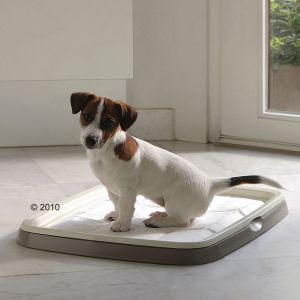 Image de Savic 7 tapis toilettes Puppy Trainer pour chiot taille XL