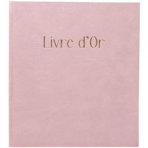Exacompta Réf. 388E -1 Livre d'or Skandi - Format compact 21 x 19 cm - Aspect velours - Marquage or avec inscription livre d'or - Tranche or - 140 pages blanches unies - Coloris : nude