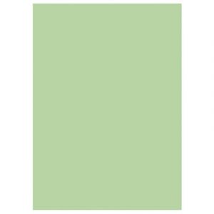 1er Prix Sous-chemises 60g recyclées - 22 x 31 cm - vert - lot de 250