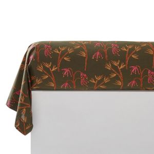 Taie de traversin coton imprimé multicolore DR. DAME NATURE