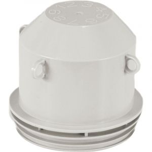 Petite tête de pieuvre d85 lisse (52160)