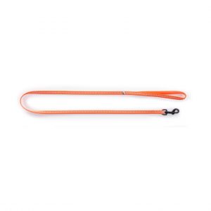 Martin Sellier Laisse pour chien nylon Safety