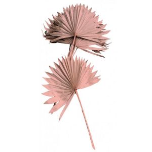 Ruedelafete Lot de 10 Feuilles de Palmier 55cm, Rose désert
